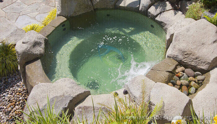 jacuzzi tematizado