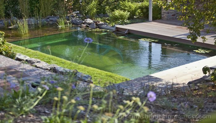 piscina-natural-con-escaleras-de-madera