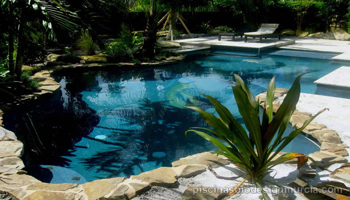 piscina-natural-con-plantas-acuaticas